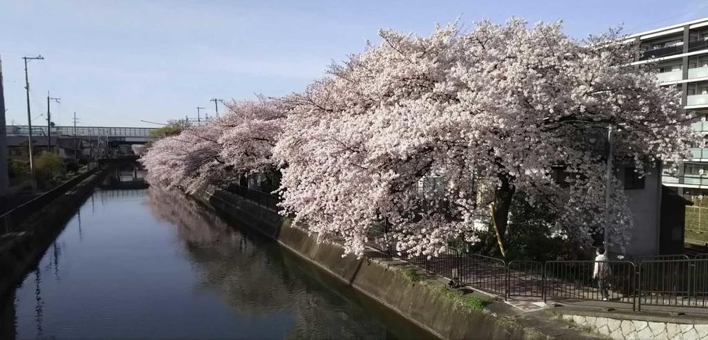 Kyoto Aya Guest House Ngoại thất bức ảnh